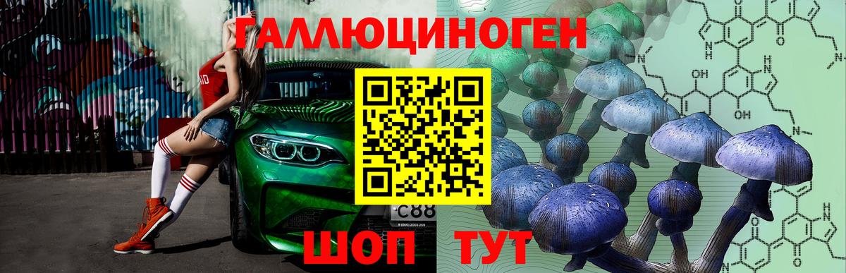 Галлюциногенные грибы Cubensis  Вход с VPN  Кольчугино 